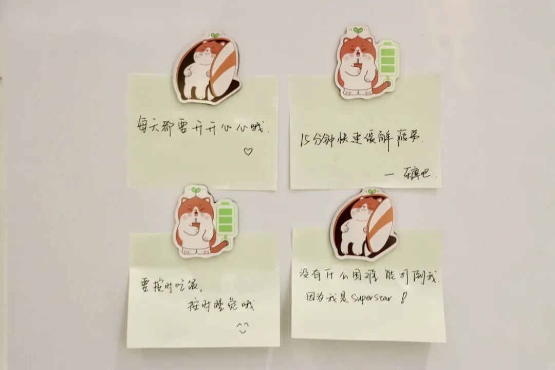 【官方周边】撸猫吗？免费送的那种！
